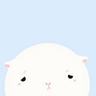 宠物医院养殖知识